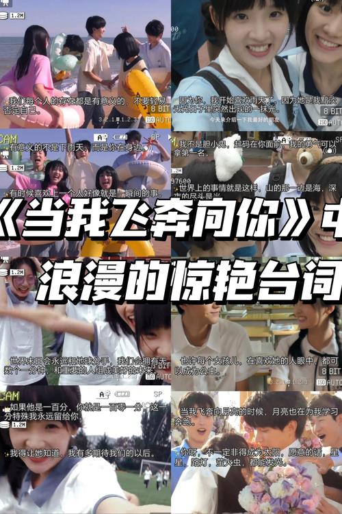 八一影院的相关介绍